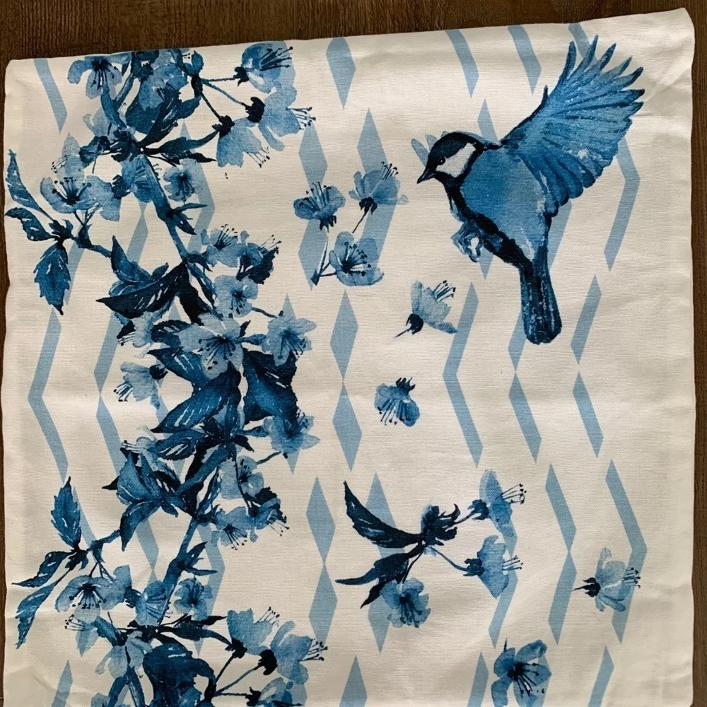 Pier one pillow Case